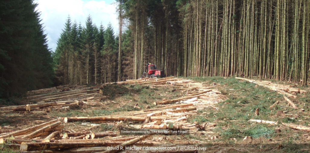 Slide of timber-producing forest